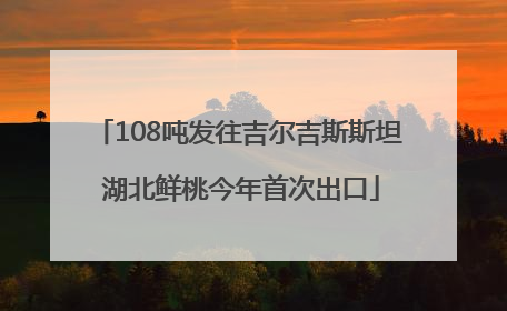 108吨发往吉尔吉斯斯坦 湖北鲜桃今年首次出口