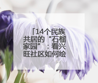 14个民族共居的“石榴家园”：看兴旺社区如何绘就民族团结幸福长卷