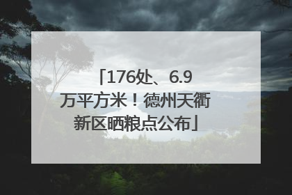 176处、6.9万平方米！德州天衢新区晒粮点公布