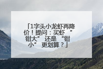 1字头小龙虾再降价！提问：买虾 “钳大” 还是 “钳小” 更划算？