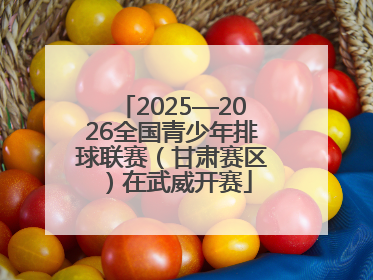 2025—2026全国青少年排球联赛（甘肃赛区）在武威开赛