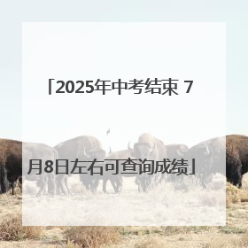 2025年中考结束 7月8日左右可查询成绩