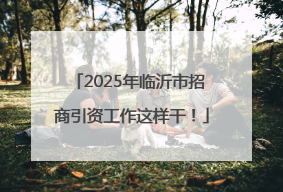 2025年临沂市招商引资工作这样干！
