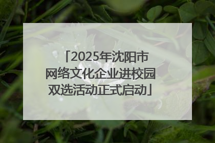 2025年沈阳市网络文化企业进校园双选活动正式启动