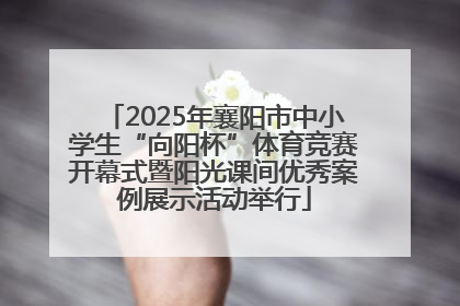 2025年襄阳市中小学生“向阳杯”体育竞赛开幕式暨阳光课间优秀案例展示活动举行