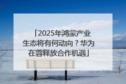 2025年鸿蒙产业生态将有何动向？华为在蓉释放合作机遇