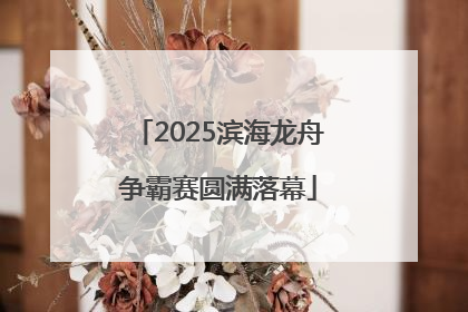 2025滨海龙舟争霸赛圆满落幕