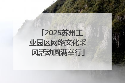 2025苏州工业园区网络文化采风活动圆满举行