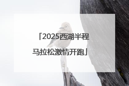 2025西湖半程马拉松激情开跑