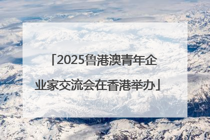 2025鲁港澳青年企业家交流会在香港举办