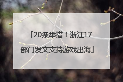 20条举措！浙江17部门发文支持游戏出海