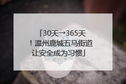 30天→365天！温州鹿城五马街道让安全成为习惯