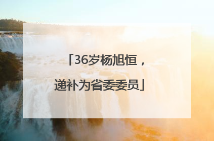 36岁杨旭恒，递补为省委委员