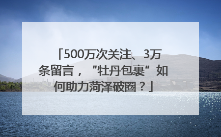 500万次关注、3万条留言，“牡丹包裹”如何助力菏泽破圈？