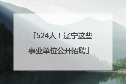 524人！辽宁这些事业单位公开招聘