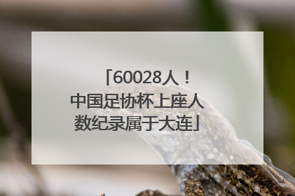 60028人！中国足协杯上座人数纪录属于大连