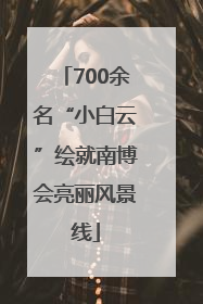 700余名“小白云”绘就南博会亮丽风景线