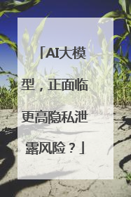 AI大模型，正面临更高隐私泄露风险？