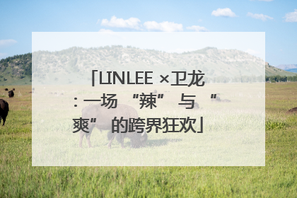 LINLEE ×卫龙：一场 “辣” 与 “爽” 的跨界狂欢