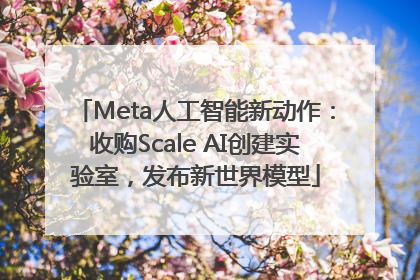 Meta人工智能新动作：收购Scale AI创建实验室，发布新世界模型