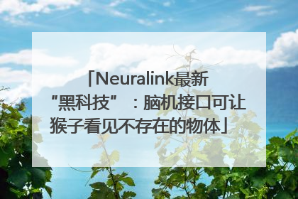 Neuralink最新“黑科技”：脑机接口可让猴子看见不存在的物体